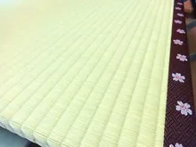 とんでもないお屋敷にお邪魔しました。