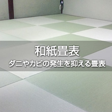 和紙畳表